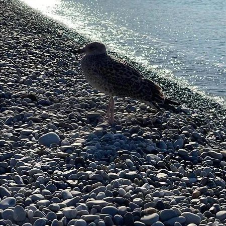 Apartmán A 5 Minutes Et Vue Splendide Nice